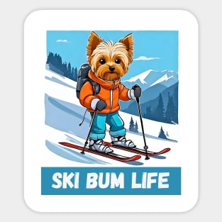 Yorkipoo Ski Bum Sticker